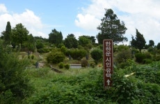 김포시, 명예도로 한하운시인길 지정 추진