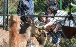 인천대공원 어린이 동물원 재개장