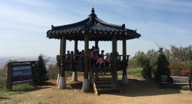 김포시, 수안산 팔각정자 새단장 마쳐
