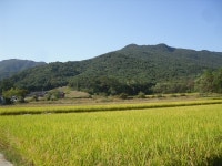 [정경연의 풍수기행] 포천 전계대원군 묘