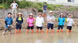 안산시의회, 나눔의 날 농촌 일손 돕기 봉사 펼쳐