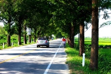 [주말 가볼만한 곳] 길 따라 바람 따라 떠나자...5월 추천 드라이브 코스