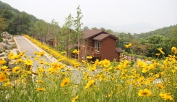 인천강화군, 석모도자연휴양림 손님맞이로 분주