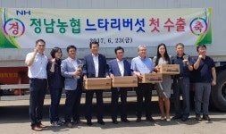 경기농협, 화성 느타리버섯 미국 첫 수출