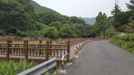 의왕시, 청계산 맑은숲길 산책로 조성