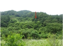 [눈에 띄는 경매물건] 7월 셋째주