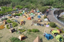 [휴가철 가볼만한 곳] 도심 속 초록세상을 찾아서… 주말엔 숲으로