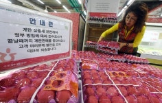 경기도발 살충제 계란 일파만파… 남양주 친환경 농가서 10만개 이상 풀렸다