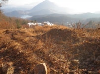 [눈에 띄는 경매물건] 8월 넷째주