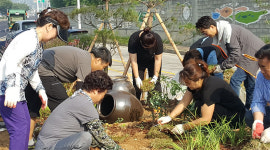 양주시농업기술센터, 신산리 신산삼거리 일원 주민참여형 거리정원 조성