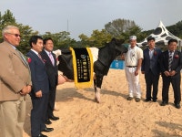 이천시 홀스타인 경진대회 이시돌 목장 대상