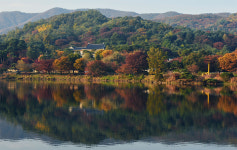 용인 에버랜드, 오색 빛깔 가을 단풍 나들이 코스 마련