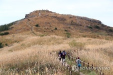[주말 호남권 가볼만한 곳] 전주 비빔밥 축제·강진만 갈대·무등산 억새 가을의 향연