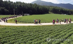 [주말 강원권 가볼만한 곳] 강릉 노추산 계곡에 애틋한 사연 간직한 모정탑