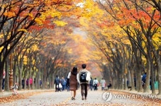 [주말 수도권 가볼만한 곳] 단풍 명소 인천대공원·수원 아주대 드론 축제·의정부예술의 전당 쓰리 디바 공연
