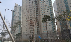 [눈에 띄는 경매물건] 11월 둘째주