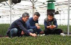 이대직 여주 부시장, 농정 현장방문해농민 애로사항 청취