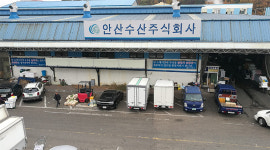 안산시, 안산농수산물시장에 시식장 설치 추진