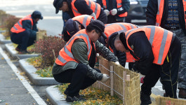 겨울옷 갈아입은 화단