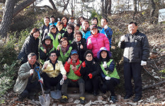 광명5동, 너부대근린공원 편백나무 식재