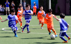 [기획] 경기도체육회, 미국·독일처럼 학교·지역 스포츠클럽리그 키운다