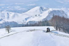 [주말 가볼만한 곳] 눈시린 평창의 겨울, 눈에 가득 담아볼까