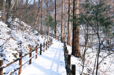 [설날 가볼만한 곳] 의왕 청계산 맑은숲공원 힐링 산책로