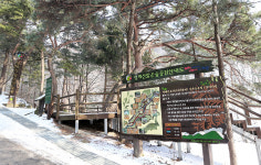 [설날 가볼만한 곳] 의왕 청계산 맑은숲공원 힐링 산책로