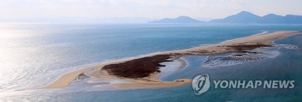 [주말 영남권 가볼만한 곳] 진우도·대마등·장자도·신자도·도요등서 힐링하자