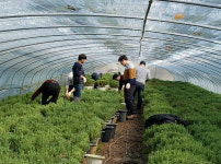 법무부 성남준법지원센터, 영세농가 지원 나서