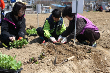 의왕시, 시민들에 도시농업 위한 주말농장 분양