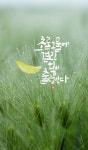 [박민용의 캘리산책] 춘몽