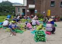 경기도농기원, 올해 농촌마을 공동농장 3곳 추가 조성키로