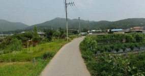 안산시, 개발제한구역 해제지역 도로개설사업 43억원 투입