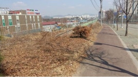 구리시, 경춘북로 가로변에 4색길 조성한다