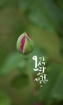 [박민용의 캘리산책] 오월