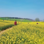 [주말 가볼만한곳] 가족애 넘치는 5월 여행, 안성팜랜드·양주 조명박물관·광주 화담숲·시흥 갯골공원