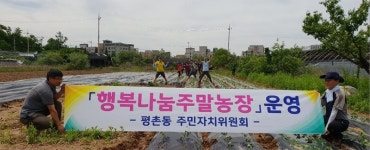 안양 평촌동 주민자치위, 이웃돕기 행복나눔농장 조성