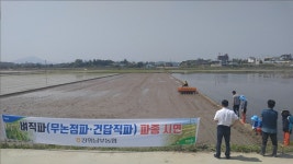 인천 강화군 남부농협, 벼 직파 시범재배 실시