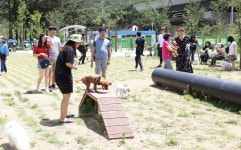 안양시, 삼막애견공원 운영 확대