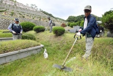 조상님 시원하시죠