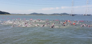 제3회 안산시장배 전국핀수영대회, 시화호 반달섬에서 선수 및 동호회원 1천여 명 참석