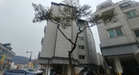 [눈에 띄는 경매물건] 9월 둘째주 경매물건