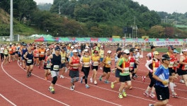 가평군, 가평종합운동장에서 자라섬 전국마라톤대회 개최