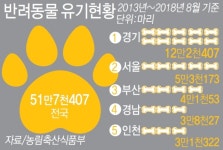6년간 버려진 반려동물 52만 마리… 경기도는 12만마리 최다