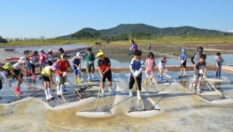 인천 중구영종역사관, 꿈다락 토요문화학교 염전체험 진행