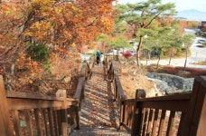 인천 강화군, 석모도 수목원에서 가을을 맞이하다