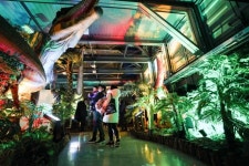 광명동굴 공룡체험전, 30만 관람객 이어져...연장 운영