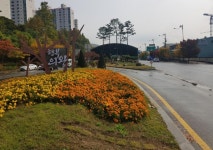 의왕시, 고천사거리 교통섬 등 3곳에 도시숲 새롭게 조성