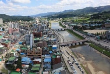 포천천 야생조류서 AI 항원 검출… 고병원성 여부판정 3~4일 걸려